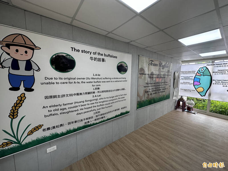 不耕田改迎接遊客！雲林土庫青農「水牛安養中心」3月底開放 - 生活 - 自由時報電子報