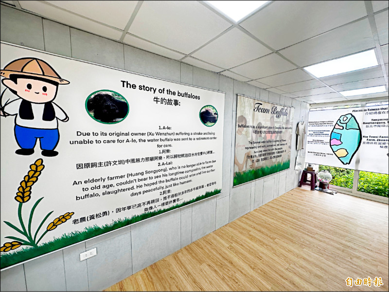 體驗農村耕牛文化 水牛安養教室月底啟用 - 生活 - 自由時報電子報