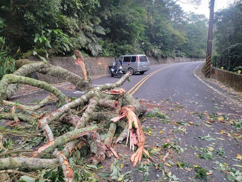 北埔往五指山竹37線16.5Ｋ樹倒阻路 熱心人士第一時間協助排除 - 生活 - 自由時報電子報