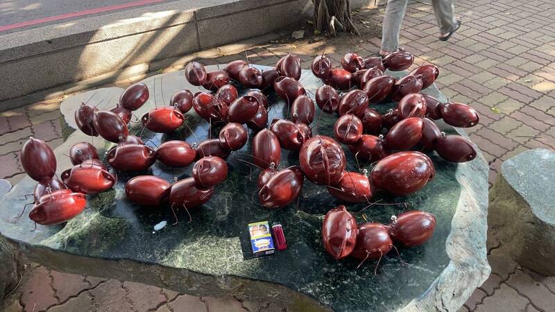 澎湖通梁古榕「狗蟻八千斤」意象 今夏觀光新景點 - 生活 - 自由時報電子報