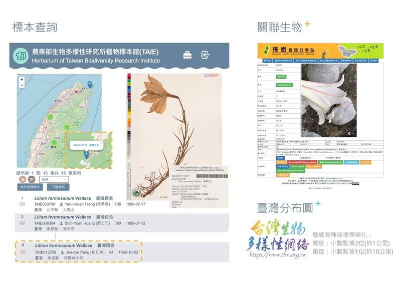 臺灣野生植物資料庫改版上線   一鍵掌握植物科學 - 生活 - 自由時報電子報