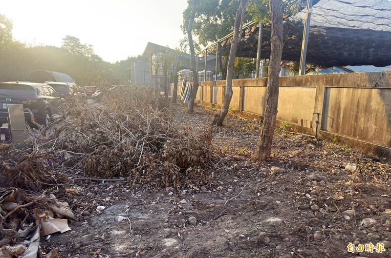 草屯酷比親子樂園外攤販集市 公所整地集中為攤販區 - 生活 - 自由時報電子報