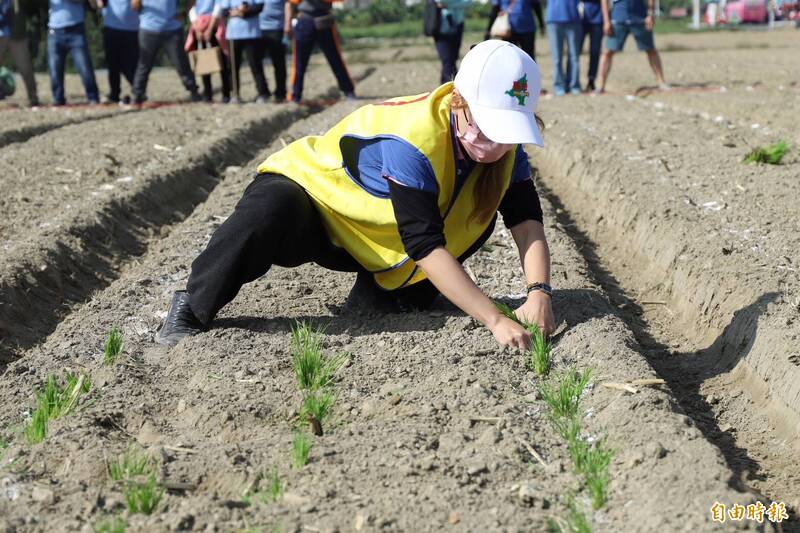 萬巒鄉3連霸 將擁「複刻」六堆運動會金盃 - 生活 - 自由時報電子報