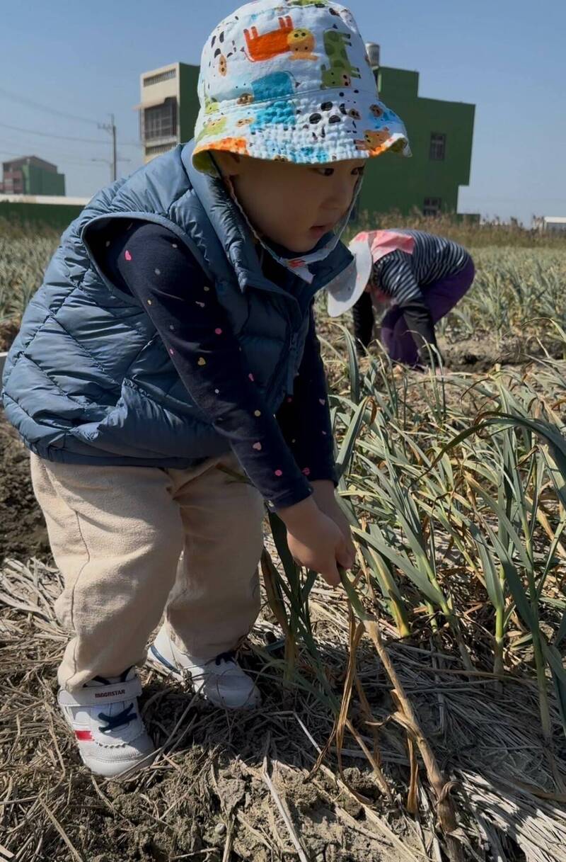 伸港蒜頭大減5成 蒜農憂心被拔光 警3/7「護蒜」 - 生活 - 自由時報電子報