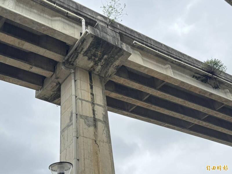 平鎮運動公園遊戲場啟用1個多月接連出包 部分設施封閉改善 - 生活 - 自由時報電子報