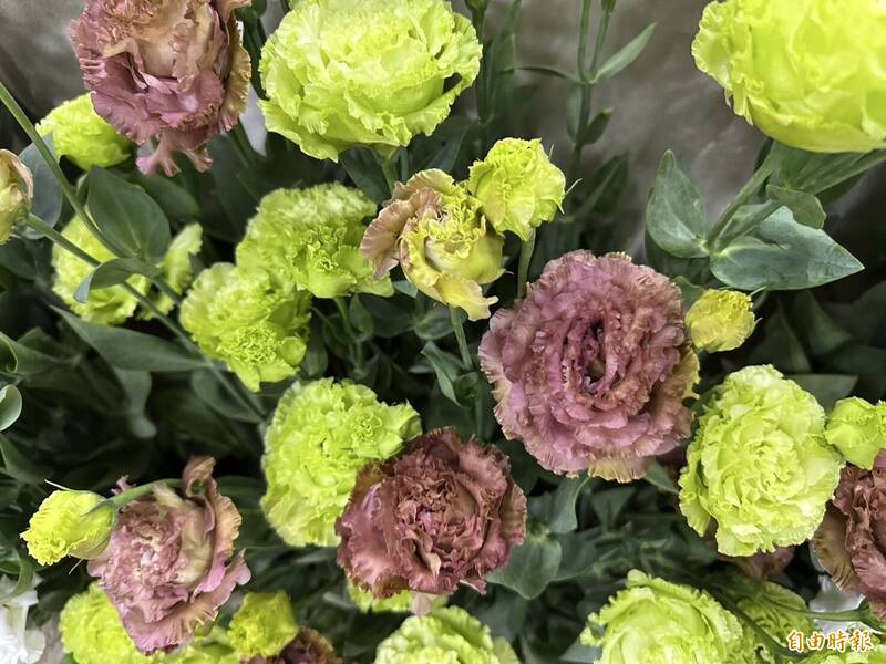 農試所讓洋桔梗躺平 外銷成本降逾25％、瓶插壽命多2天