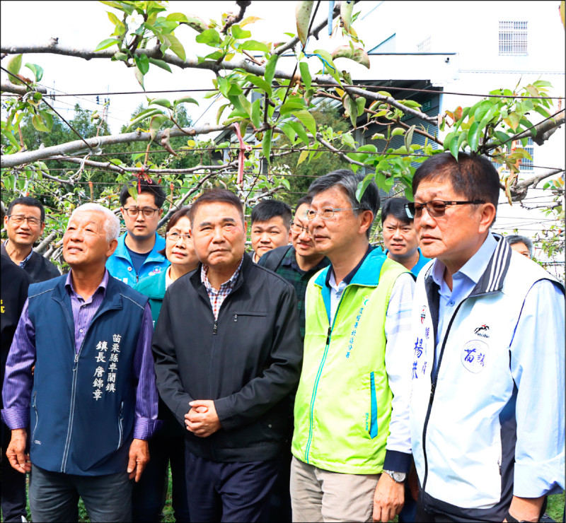 苗縣高接梨寒害 爭取每公頃補助6萬2 - 生活 - 自由時報電子報