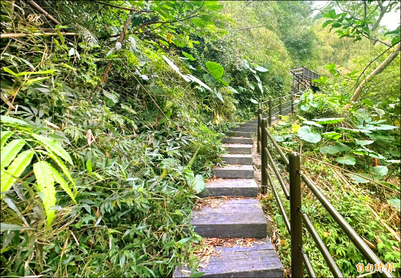 瑞里青年嶺、野薑花溪步道 4月1日重開 - 生活 - 自由時報電子報