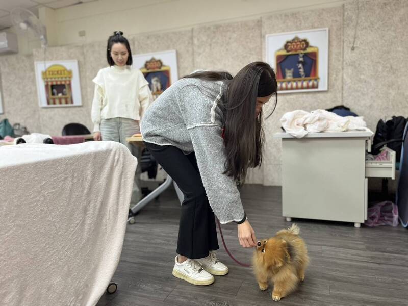 新北動保處定期開設訓犬課程 今年加碼高敏感性犬隻到宅教學 - 生活 - 自由時報電子報