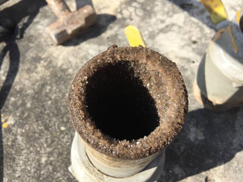 養豬場廢水有救星  畜試所開發廢水磷酸鹽結晶回收技術 - 生活 - 自由時報電子報