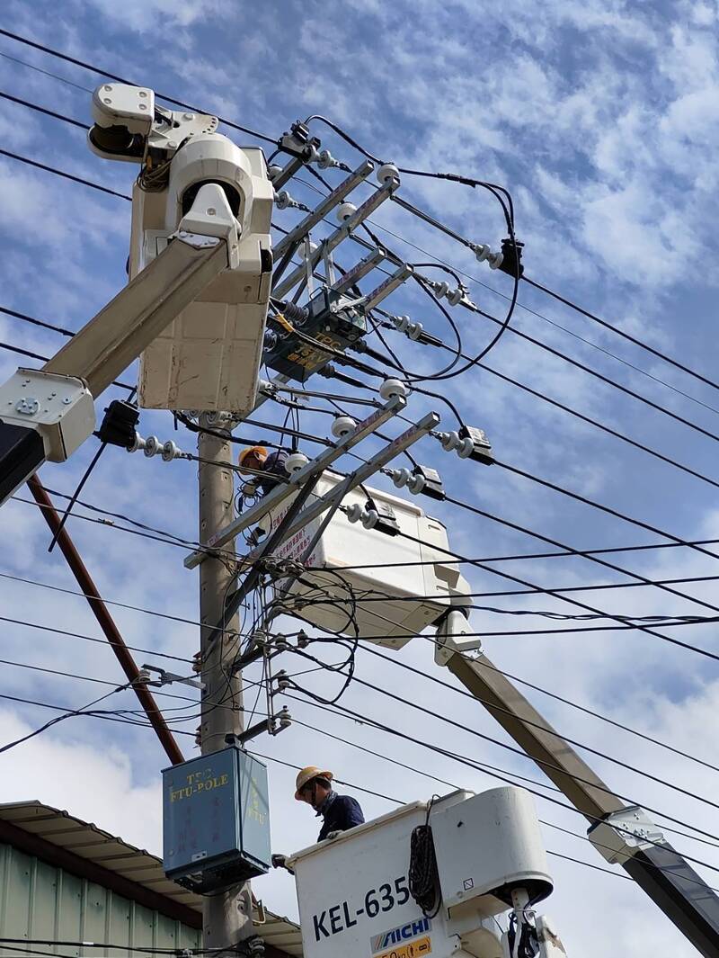驚蟄日揭密 台電出動「移巢大隊」 - 生活 - 自由時報電子報