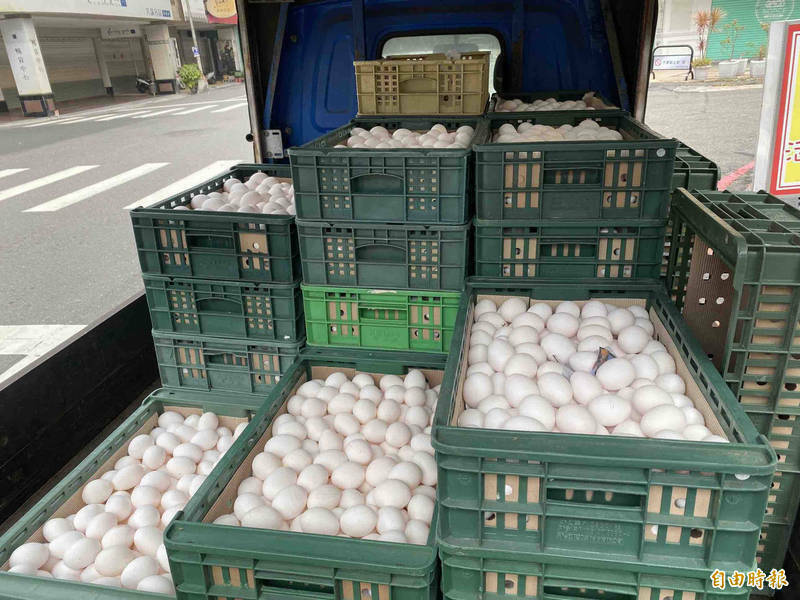 雞蛋產地批發價差無共識  養雞協會盼縮短為6元、蛋商公會主張拉大 - 生活 - 自由時報電子報