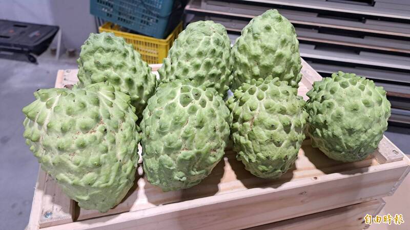 銷中鳳梨釋迦果肉出現異常褐化  台東農改場找到原因了 - 生活 - 自由時報電子報