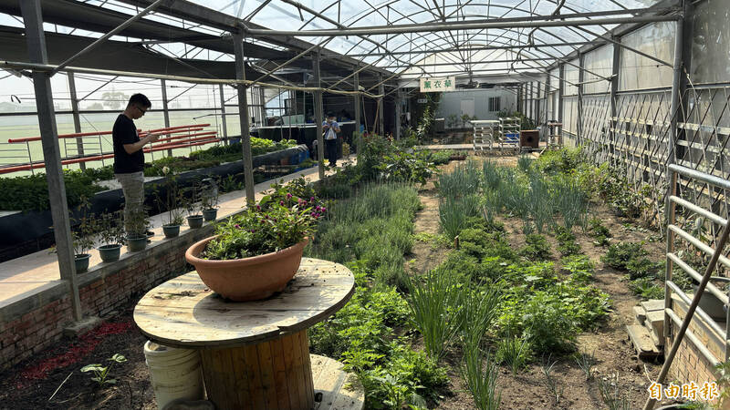 台南市推休閒農業區還有3處籌設 打團體戰進軍農遊市場 - 生活 - 自由時報電子報