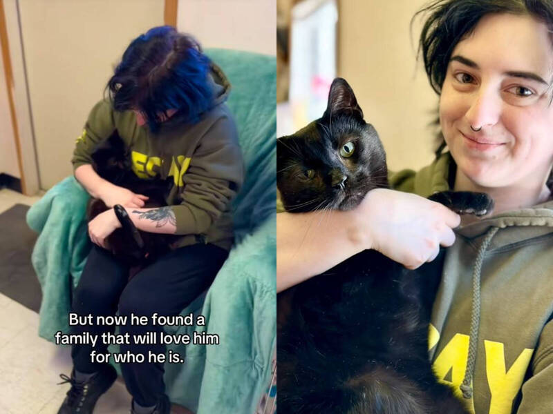 貓咪竟因「太愛撒嬌」遭棄養 網怒：多少人夢寐以求 - 國際 - 自由時報電子報