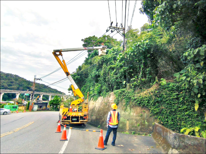 降低停電風險 台電動員修剪樹木、摘鳥巢 - 生活 - 自由時報電子報