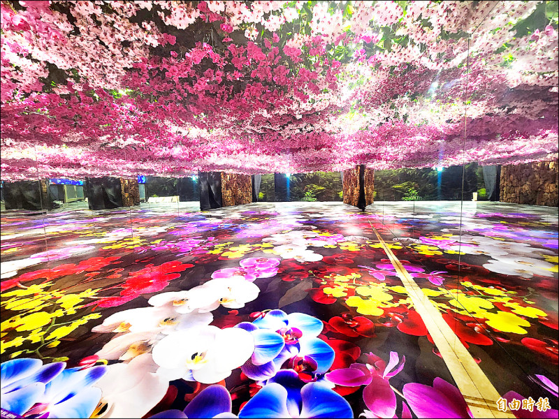 台灣國際蘭展 3/8開幕日 女性免費入園 - 生活 - 自由時報電子報