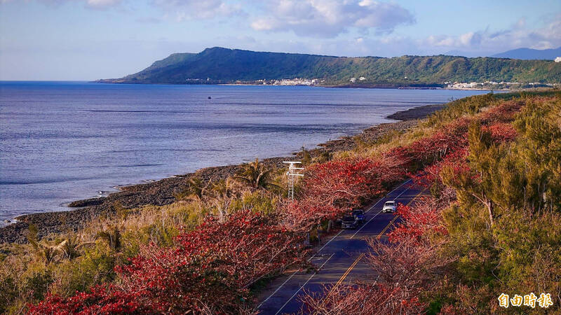 美極！恆春半島限時美景 火紅欖仁隧道艷勝山區櫻花 - 生活 - 自由時報電子報