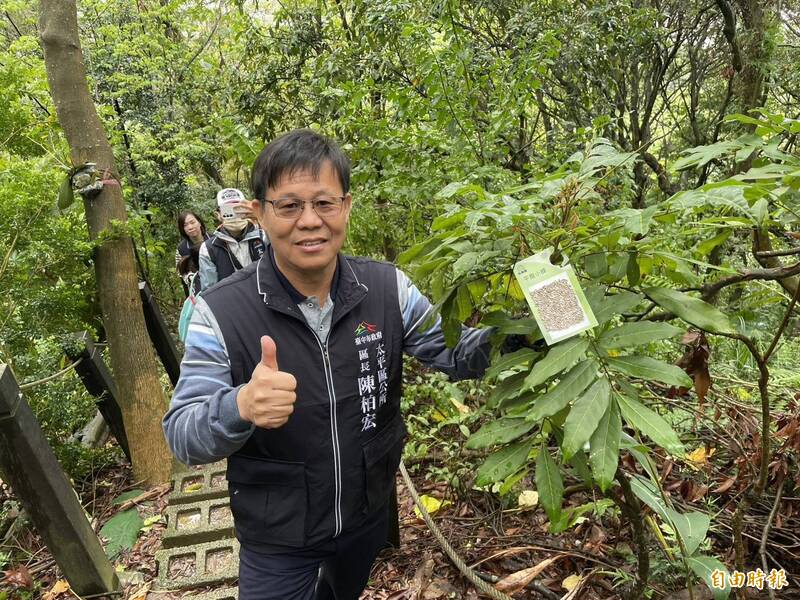 荔枝椿象噴臭液傷登山客  太平公所釋放2萬隻天敵「平腹小蜂」 - 生活 - 自由時報電子報