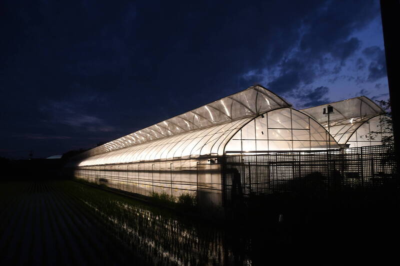 彰化LED補助爆量！770人5天搶光千萬額度 - 生活 - 自由時報電子報