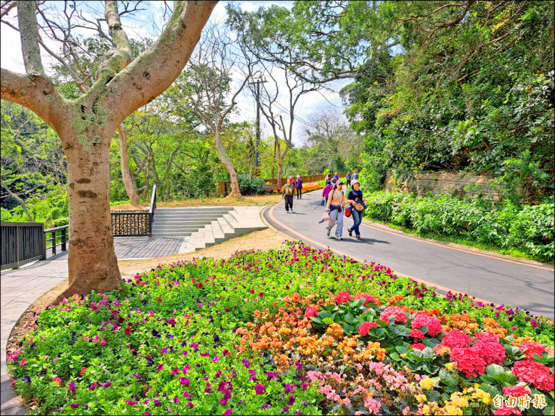 竹市18尖山賞花月攝影賽 限齡挨批 - 生活 - 自由時報電子報