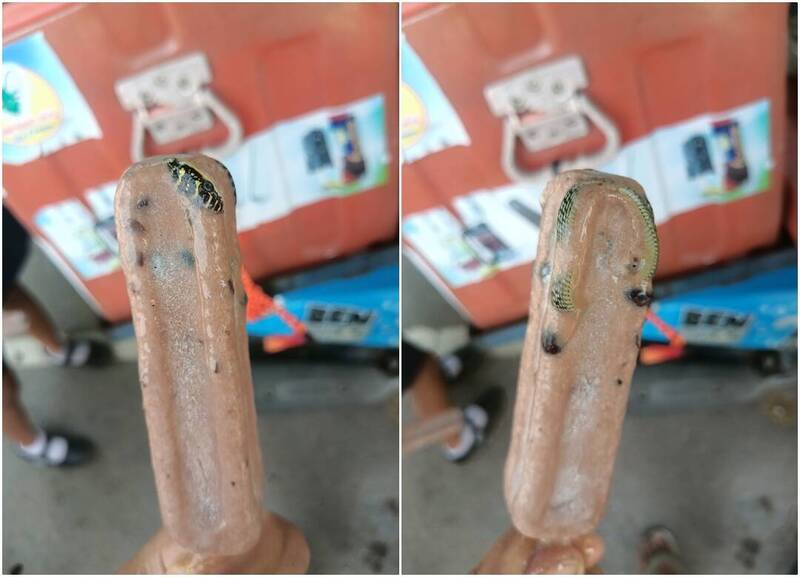 嚇一大跳！ 買泰國小攤販冰棒 他拆開驚見「冷凍小蛇」 - 國際 - 自由時報電子報