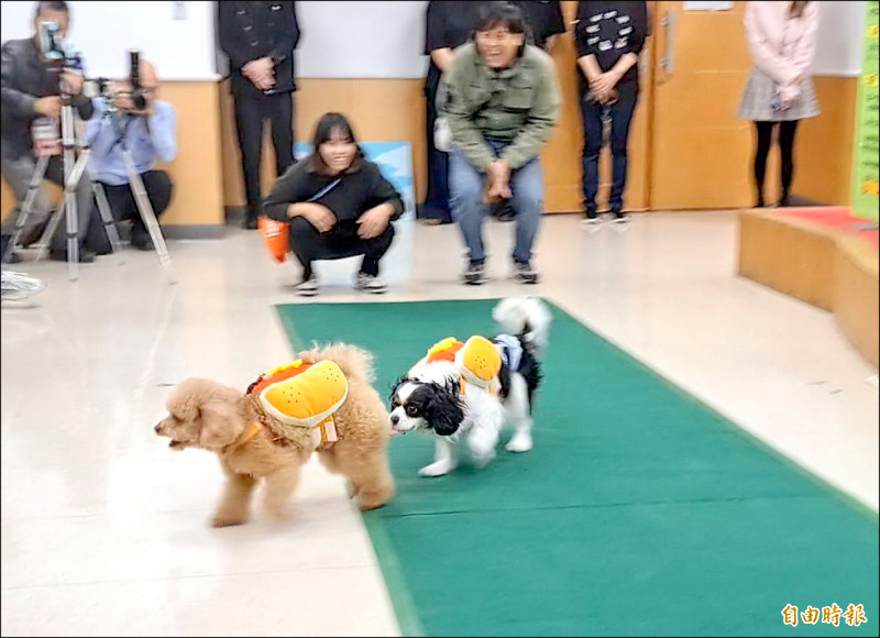 毛孩放風 台南虎頭埤熱狗盃比賽今起報名 - 生活 - 自由時報電子報