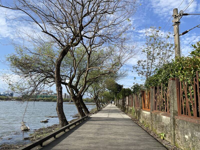 百年羅東林場整修鏽蝕木棧道 同步更換時光廊道 - 生活 - 自由時報電子報