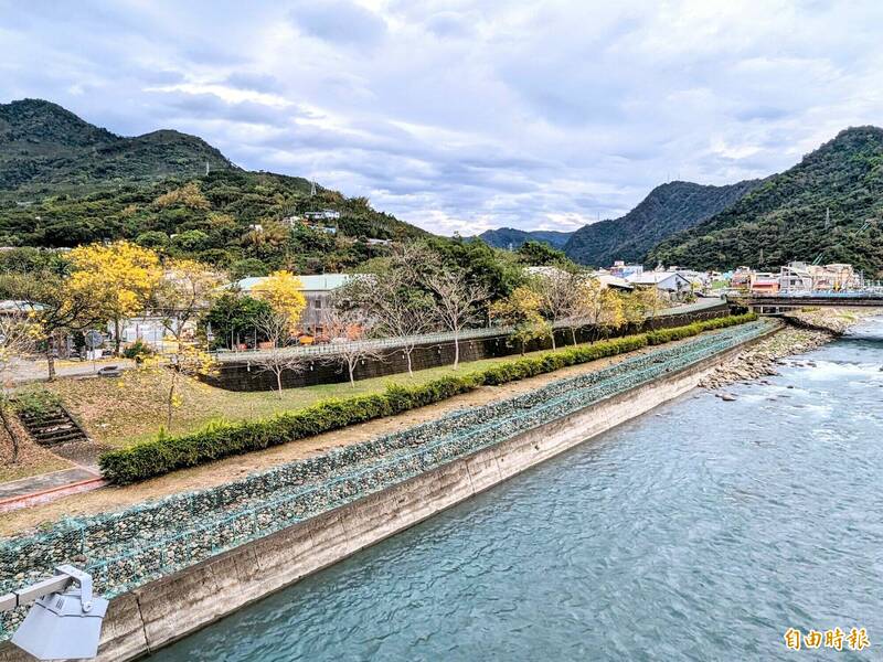 水里溪黃花風鈴木盛開 串聯河濱推花道、風箏節 - 生活 - 自由時報電子報