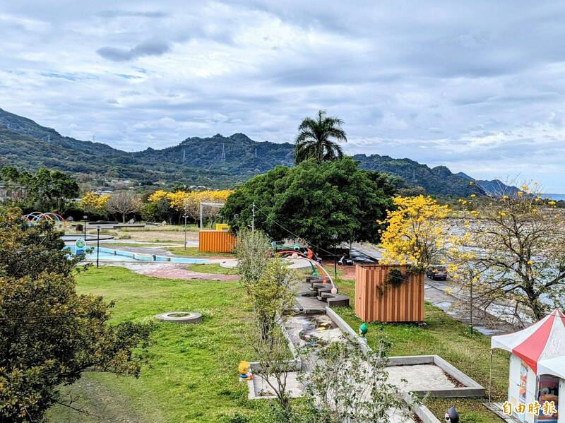 水里溪黃花風鈴木盛開 串聯河濱推花道、風箏節 - 生活 - 自由時報電子報