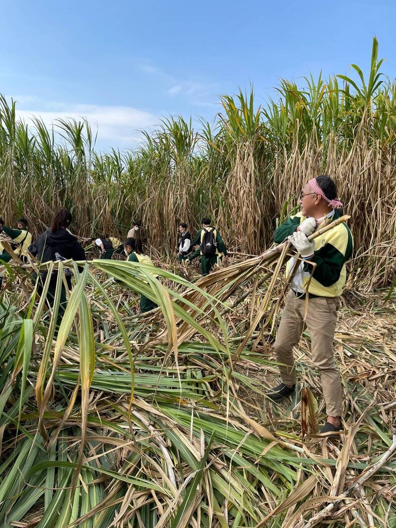 台灣甘蔗揚名國際！台糖農藝蘭姆酒奪世界賽2金 - 生活 - 自由時報電子報