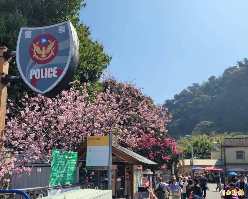 櫻花季甫落幕 中市泰安派出所長上班飲酒被記過調職 - 社會 - 自由時報電子報