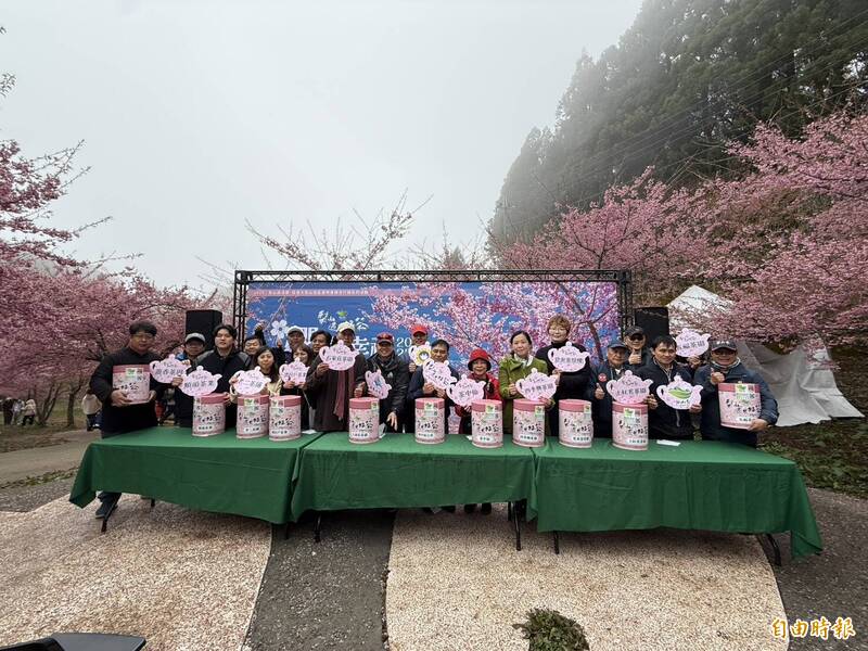 春櫻盛開 梨山高山茶會登場 - 生活 - 自由時報電子報