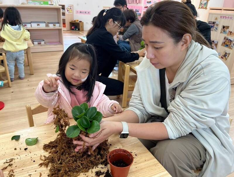 植樹節玩自然農法！幼兒園童作苔球、種果菜苗 - 生活 - 自由時報電子報