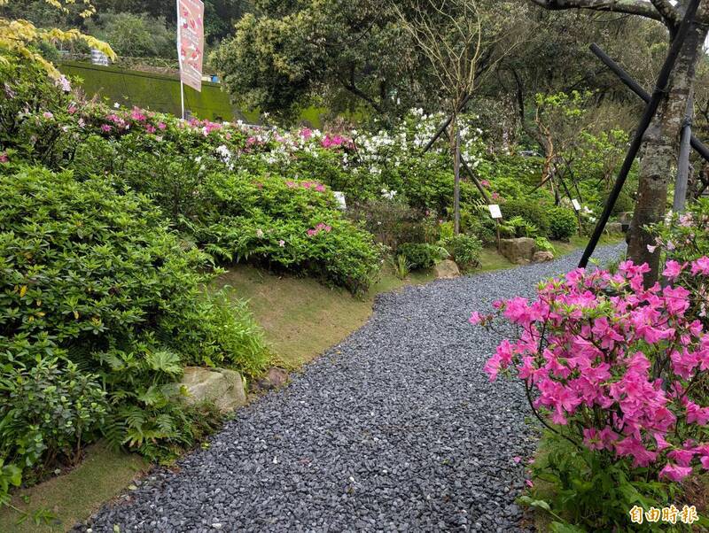 萬金杜鵑展主題裝扮賽登場 攝影賽4月起收件 - 生活 - 自由時報電子報