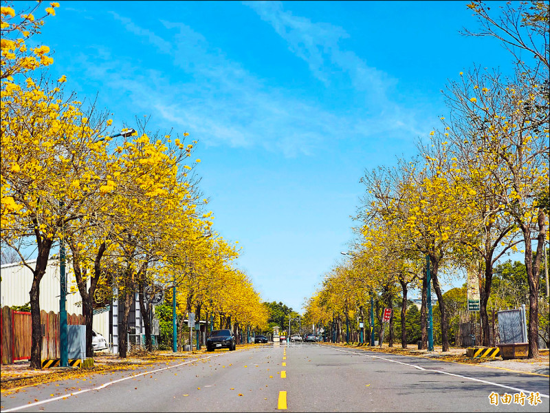田尾風鈴木爆發 夢幻「黃金大道」吸客 - 生活 - 自由時報電子報