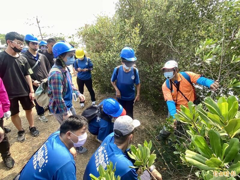 拿下濕地保育計畫特優 林園愛鄉協會10攝影好手將辦展 - 生活 - 自由時報電子報