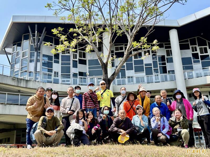 台江文化中心植物 樹枝修剪不當傷口難癒合 - 生活 - 自由時報電子報