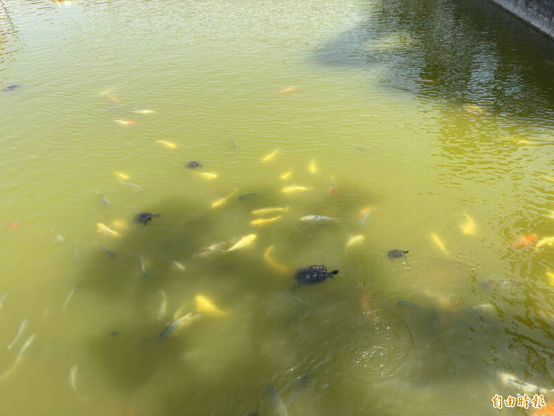 蛇年第一個天赦日  民俗專家：今天簡單做3件事就出運啦 - 生活 - 自由時報電子報