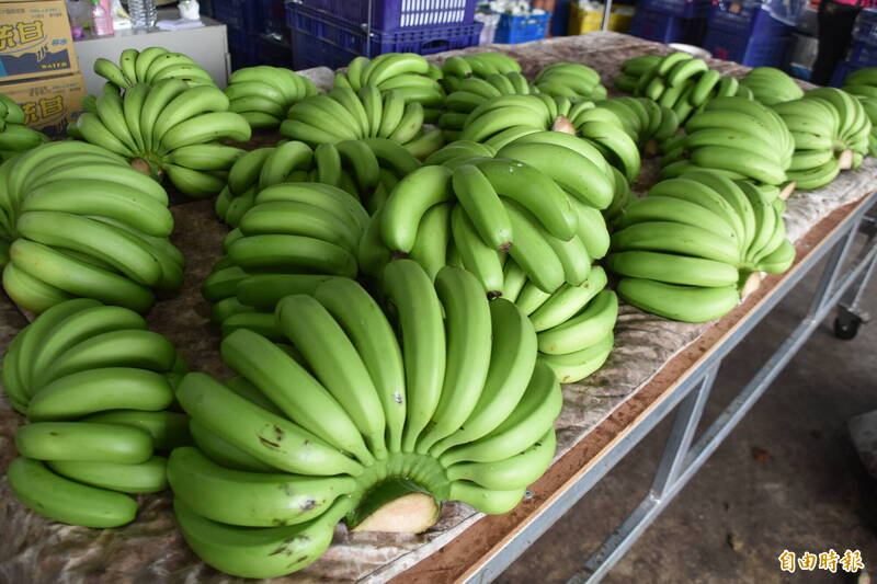 蕉價1斤飆破百元 賊開車到蕉園採收 - 社會 - 自由時報電子報