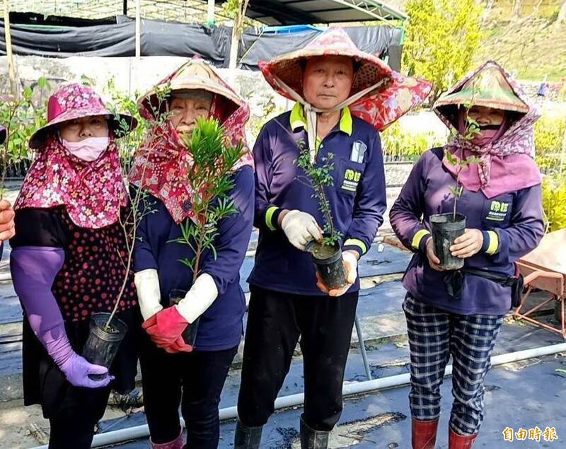 植樹節種下綠色希望！高雄市38區3/12發放22800株樹苗 - 生活 - 自由時報電子報