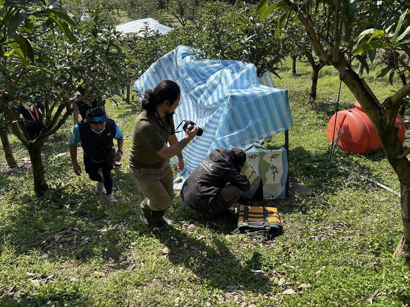 台灣黑熊「達古阿里」野放過冬後社區現蹤 捕獲初檢體弱腳傷 - 生活 - 自由時報電子報