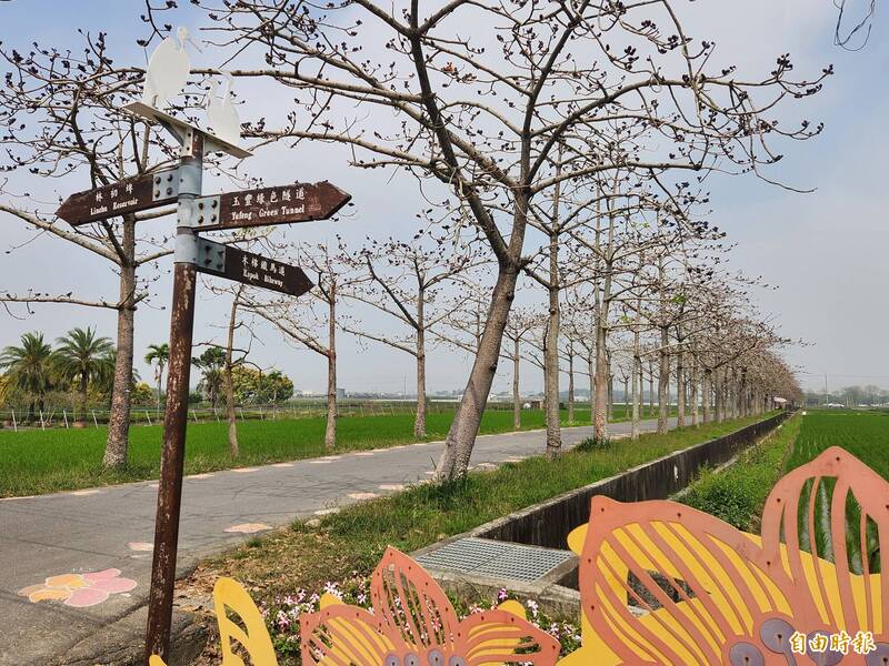 白河木棉花季3/14登場 假日進行交管 - 生活 - 自由時報電子報