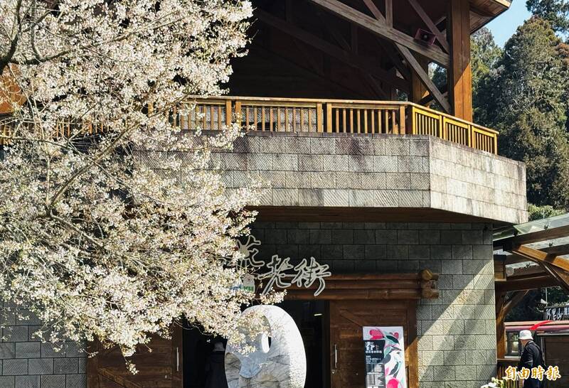 櫻與音的對話！2025阿里山花季開鑼 百花盛開迎賓 - 生活 - 自由時報電子報