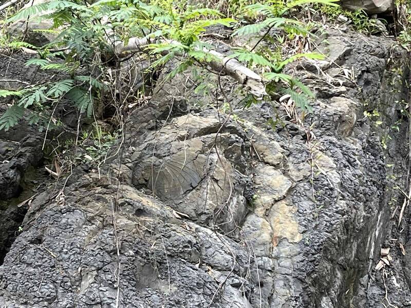 高雄月美國小山野教育 循19世紀探險家腳步訪白雲仙谷 - 生活 - 自由時報電子報