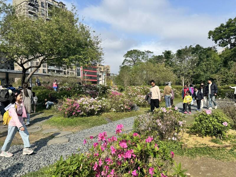 忽冷忽熱杜鵑花陸續開 北市公園處：今年花期會較長 - 生活 - 自由時報電子報