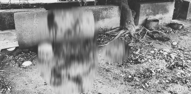 雲林農民近300株蒜頭被偷、狗兒遭割喉 警追賊啟動「護蒜專案」 - 生活 - 自由時報電子報