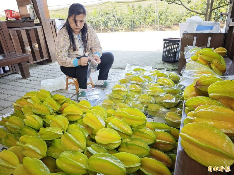 震後拚觀光 台南梅嶺賞螢季結合龜丹溫泉 - 生活 - 自由時報電子報