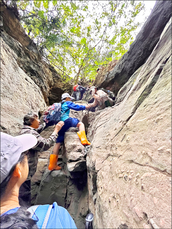 循19世紀探險家腳步 國小山野教育 喜見貝類化石 - 生活 - 自由時報電子報