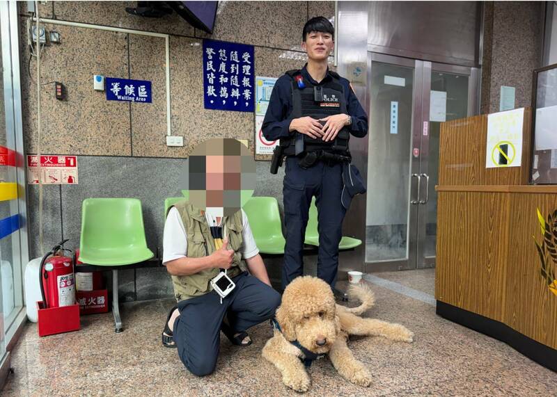 巨型貴賓犬在北市街頭閒晃 警順利幫助人狗團聚 - 社會 - 自由時報電子報